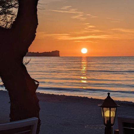 Dolphin Apt & Studios -Next To The Beach Ρόδα Εξωτερικό φωτογραφία