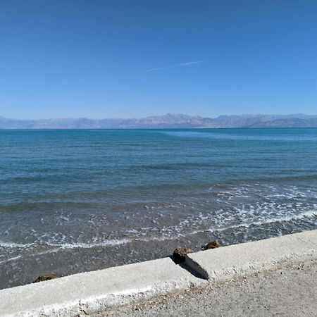 Dolphin Apt & Studios -Next To The Beach Ρόδα Εξωτερικό φωτογραφία