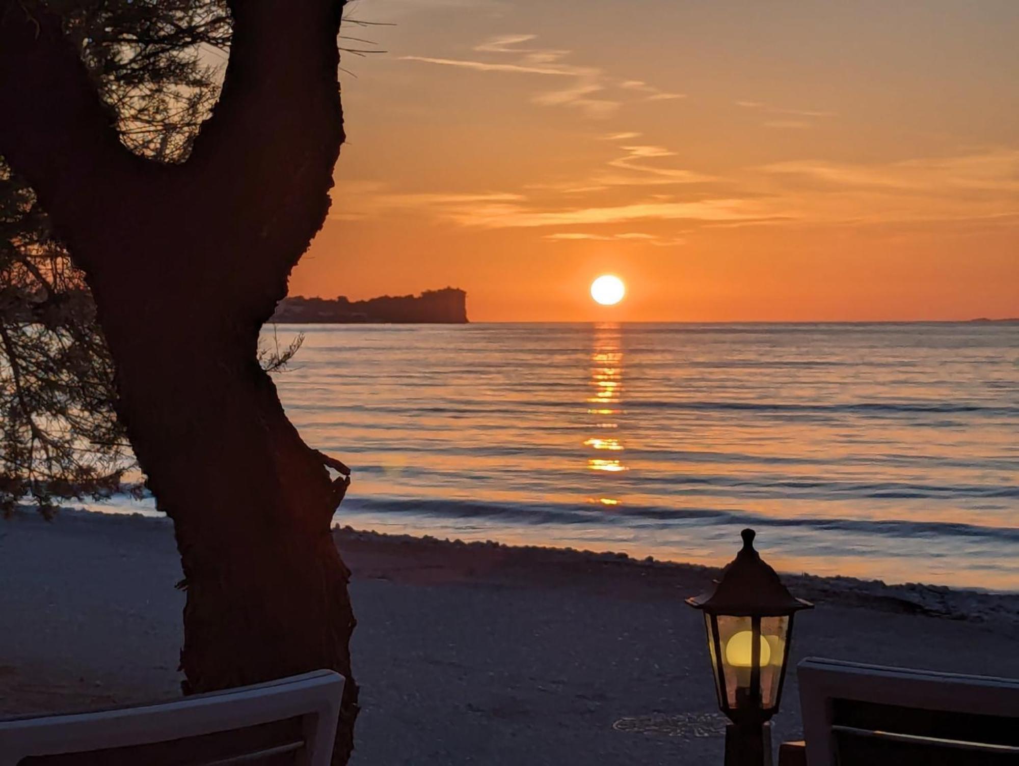 Dolphin Apt & Studios -Next To The Beach Ρόδα Εξωτερικό φωτογραφία