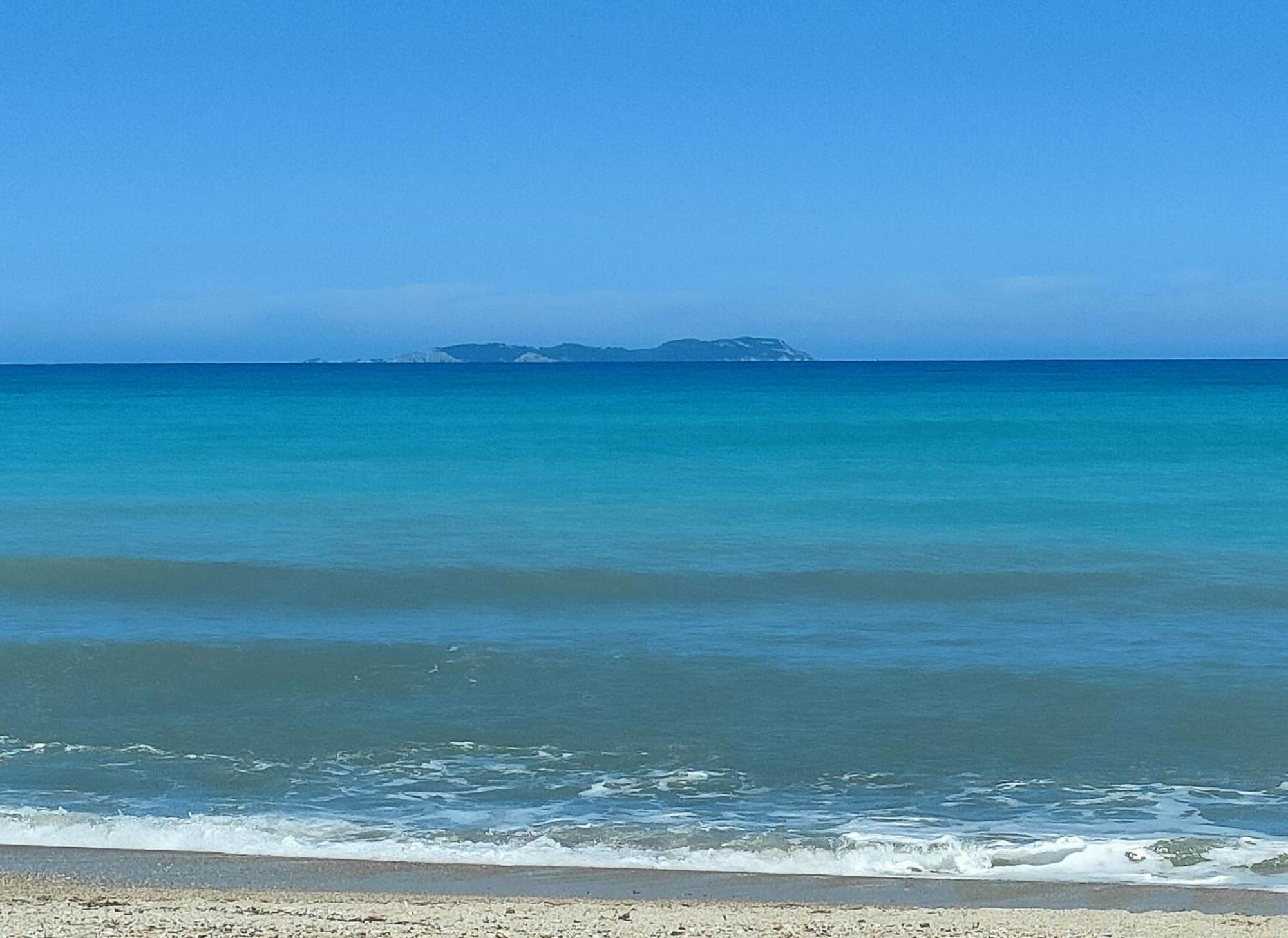 Dolphin Apt & Studios -Next To The Beach Ρόδα Εξωτερικό φωτογραφία