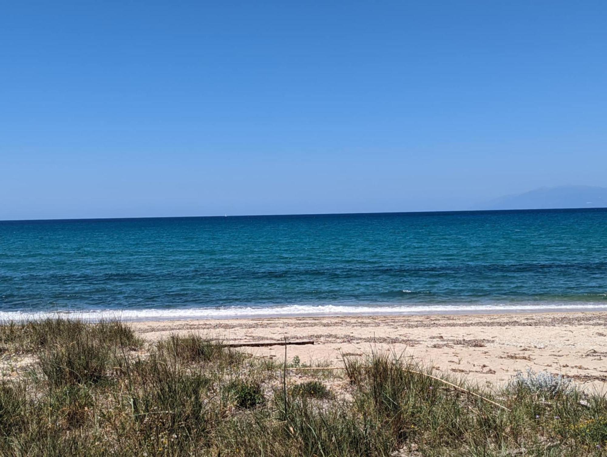 Dolphin Apt & Studios -Next To The Beach Ρόδα Εξωτερικό φωτογραφία