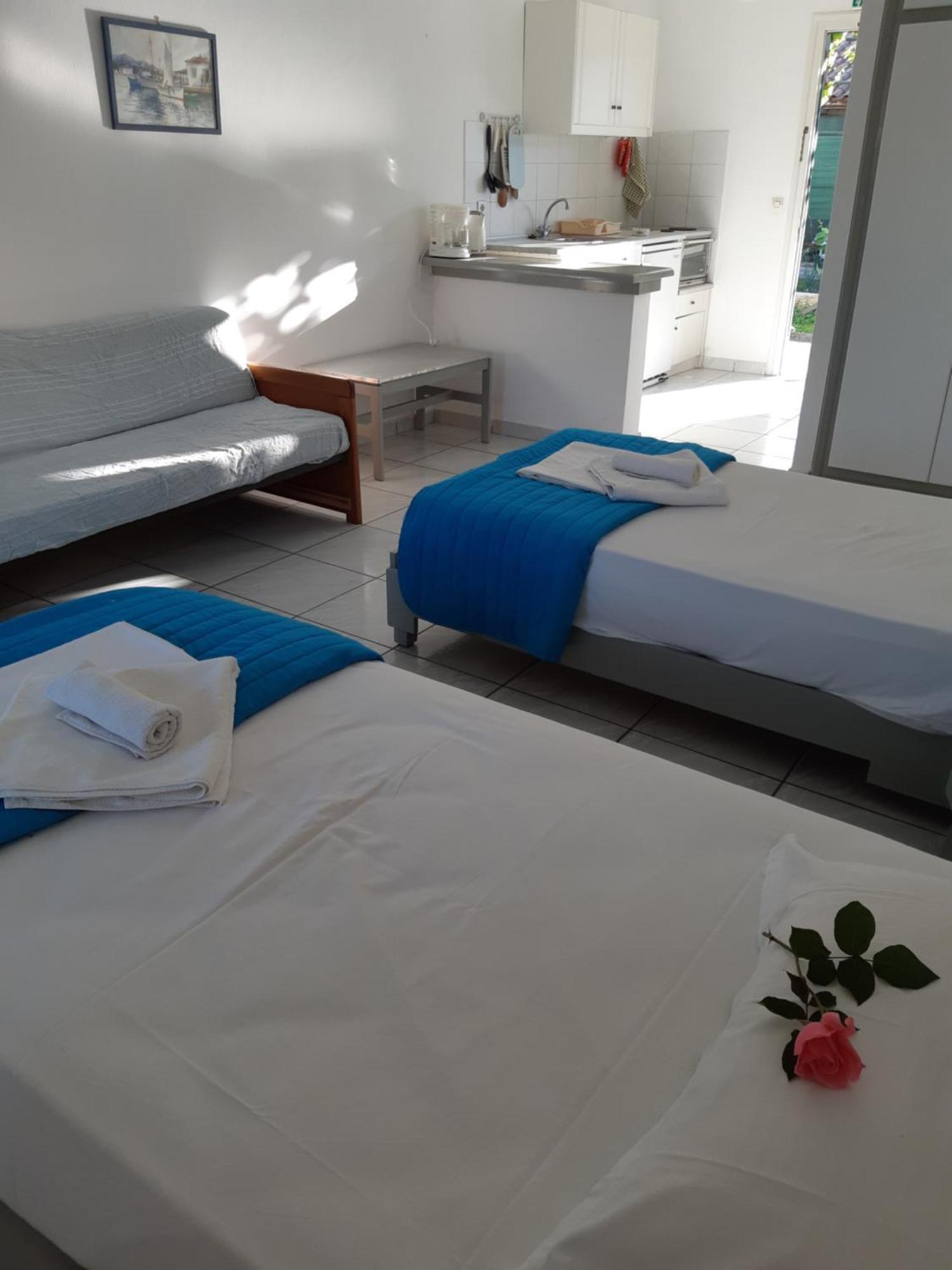 Dolphin Apt & Studios -Next To The Beach Ρόδα Εξωτερικό φωτογραφία