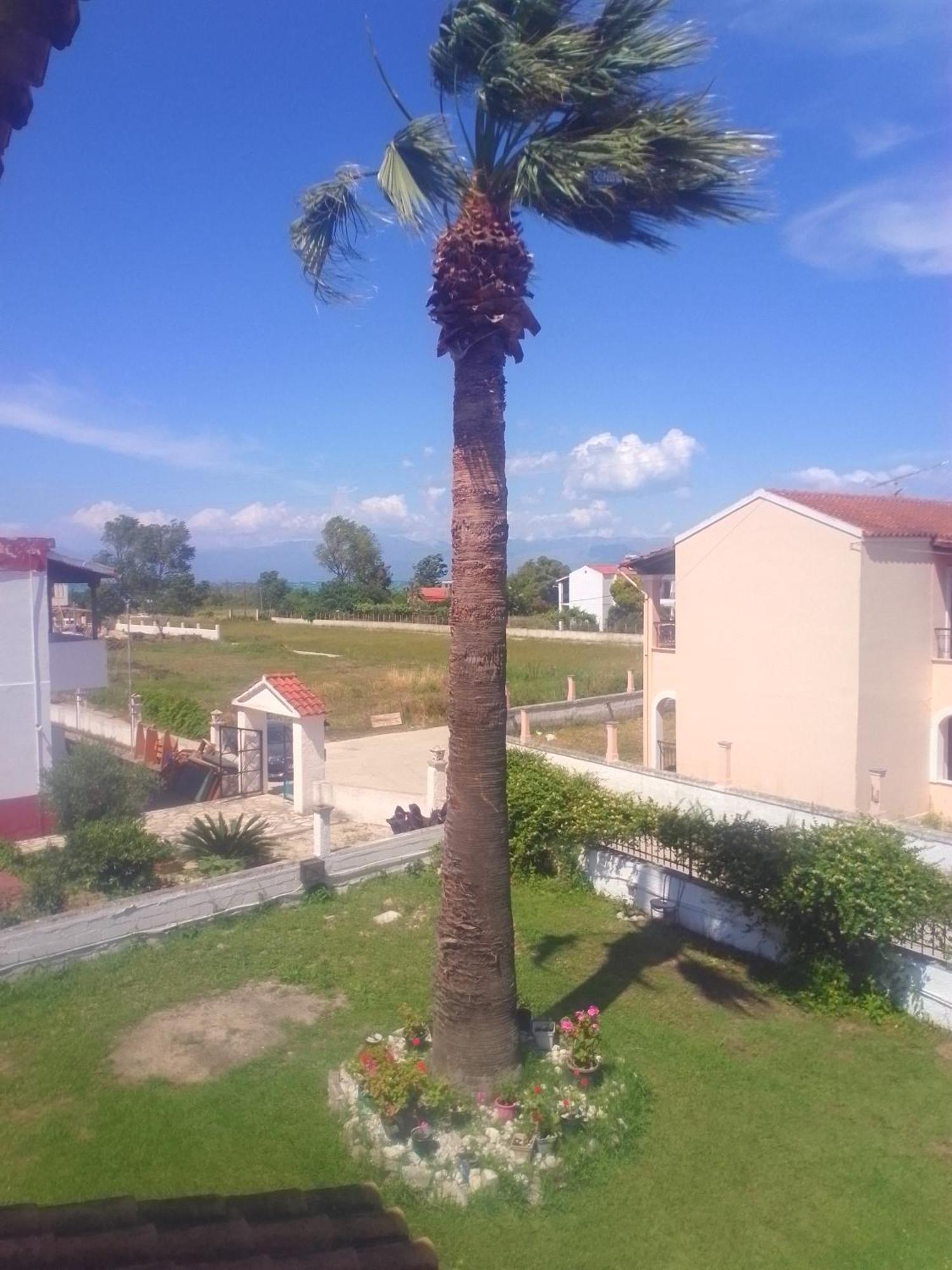 Dolphin Apt & Studios -Next To The Beach Ρόδα Εξωτερικό φωτογραφία